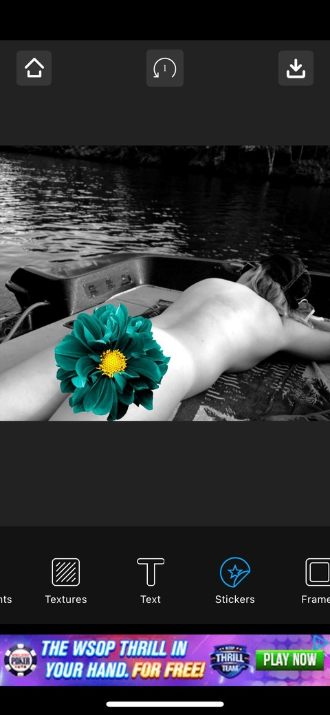 Header of enchantedashes78