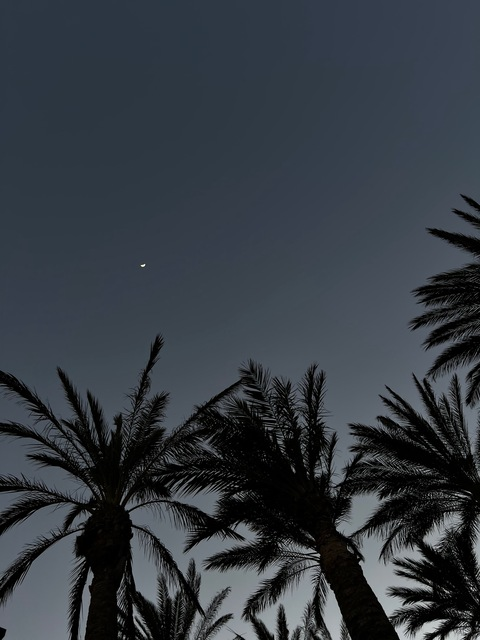 Header of enyaxdres