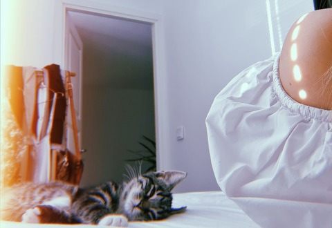Header of fannyrebelle