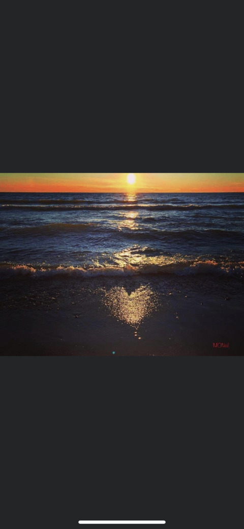 Header of fantasee111