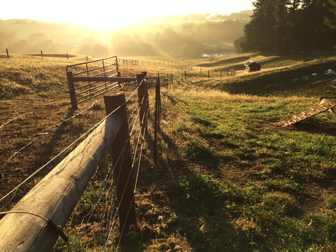 Header of farmerarron