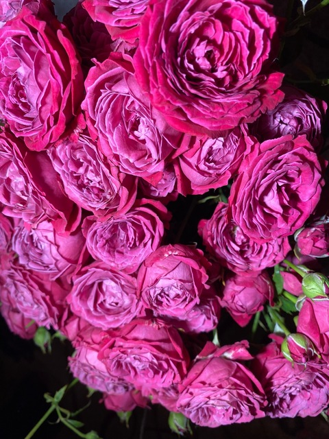Header of fekate
