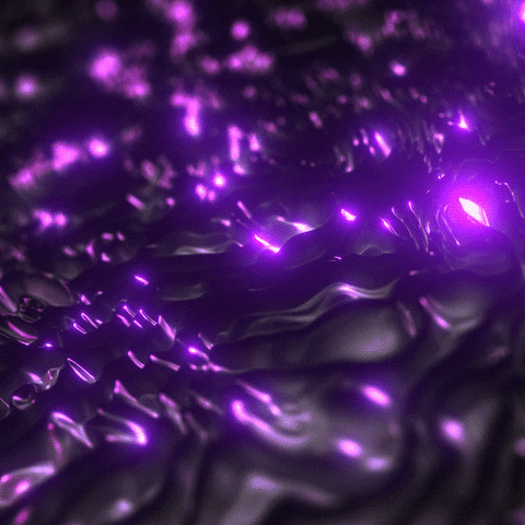 Header of foxyroseee