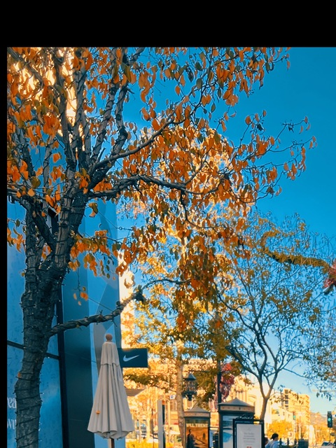 Header of ft.yar3