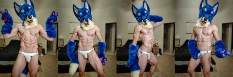 Header of gaybluefusky