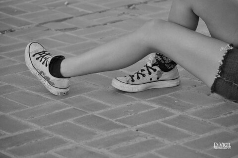 Header of geeseboots