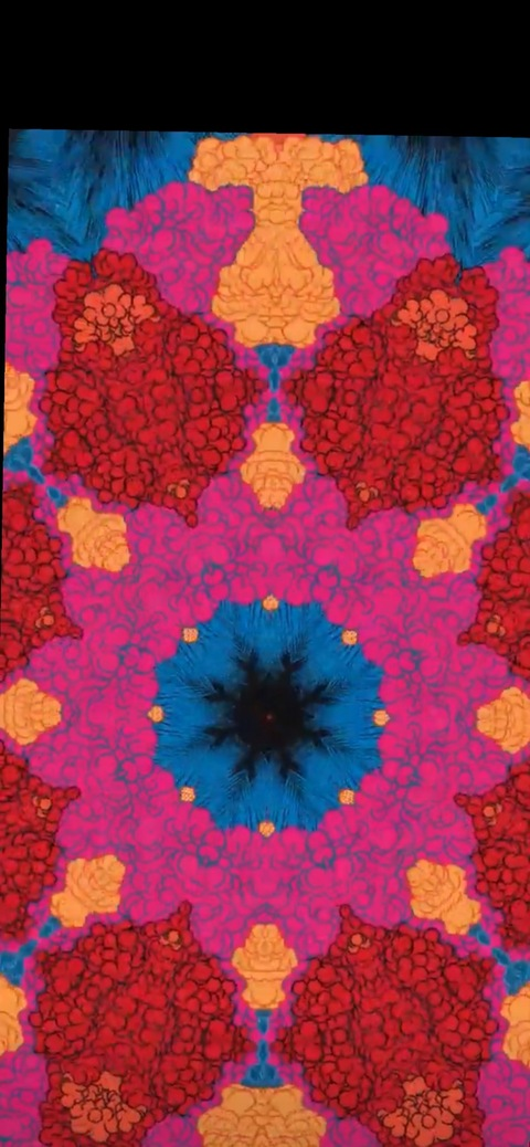 Header of hazelstuffs