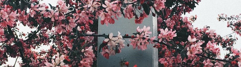 Header of henriette