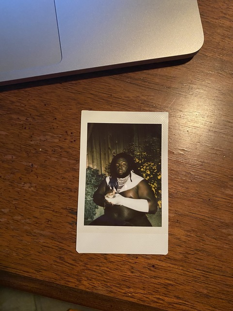 Header of herricanewilma
