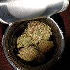 highlife412 (Stardawg) free OnlyFans Leaked Videos and Pictures 

 profile picture