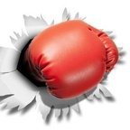 hkboxing2018 (Hard Knockout Boxing) OnlyFans content 

 profile picture