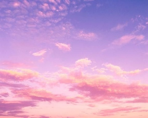 Header of honeymiamiiii