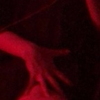 hotdady6996 (Hotdady9669) free OnlyFans Leaks 

 profile picture