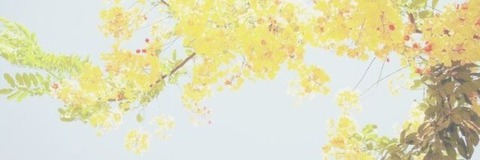 Header of hunny.bee