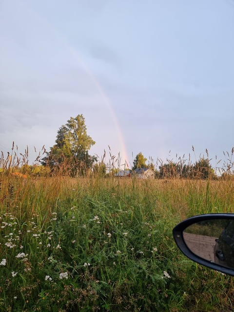 Header of ironlily22