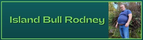 Header of islandbullrodney