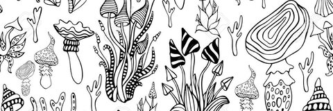 Header of itsmjbaby