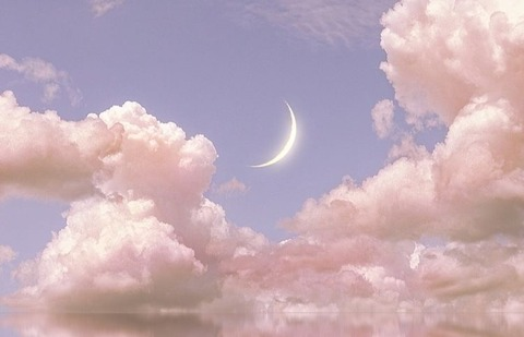 Header of itsnotmarion