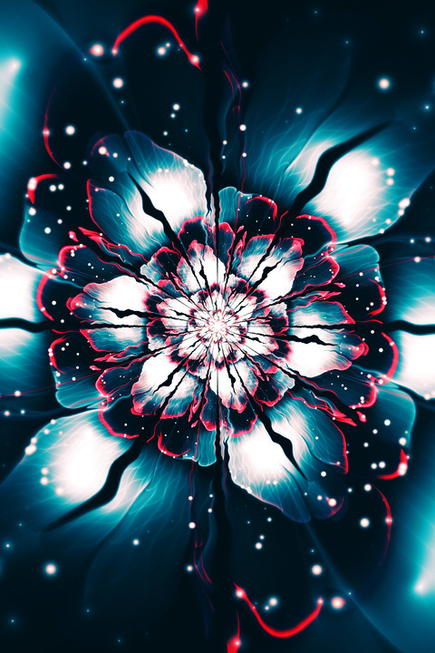 Header of jessieebearz95