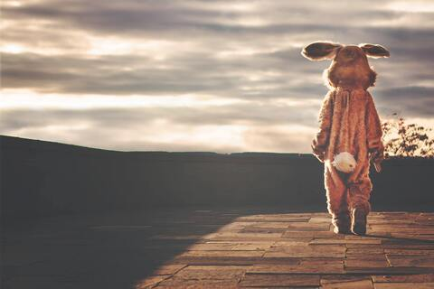 Header of joshrgfit