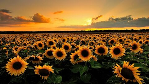 Header of kbugg_12