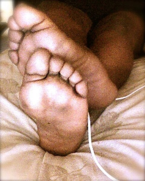 Header of kingchubsoles