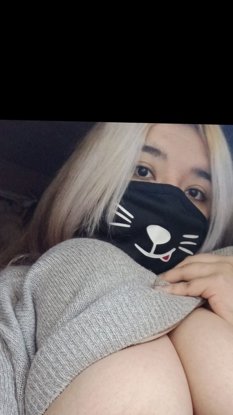 Header of kittyprrncess