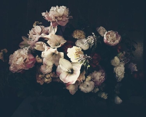Header of ladiabla0009