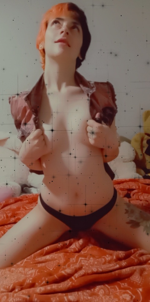 Header of lapetitelapin