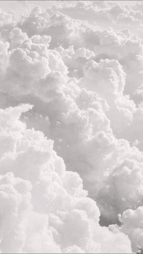 Header of laura_lee_3