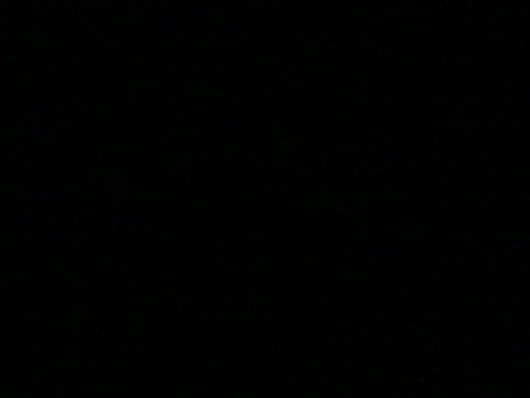 Header of leaaabody