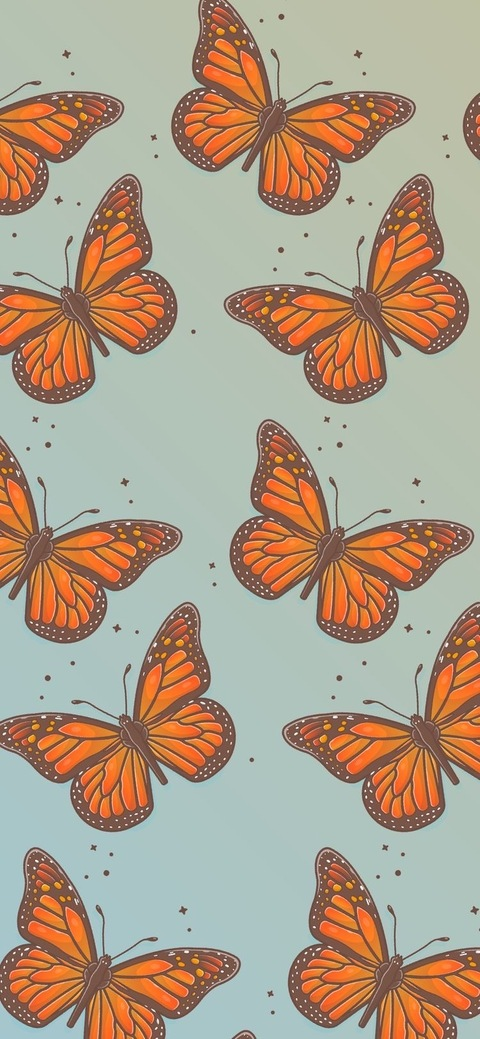 Header of lil_darlin