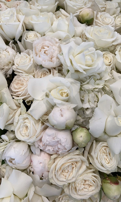 Header of lillybrae