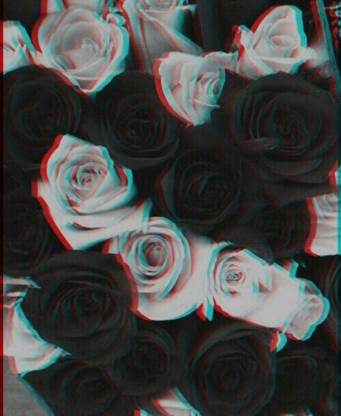 Header of lilredx