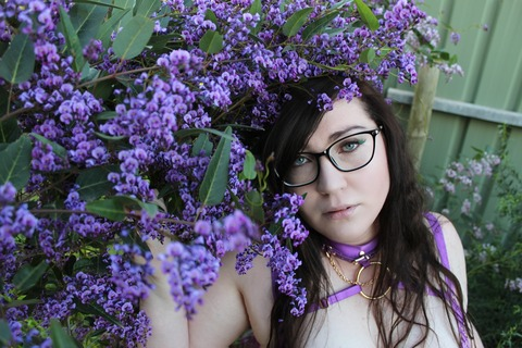 Header of lilyleoufree