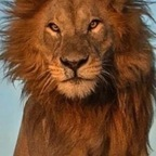 Lionel77 (lionel77) Leaked OnlyFans 

 profile picture
