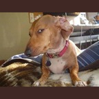 Download lntchewie OnlyFans leaks for free 

 profile picture
