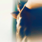 Onlyfans leaks logan-iorworth 

 profile picture
