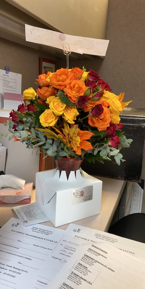 Header of lolapop315