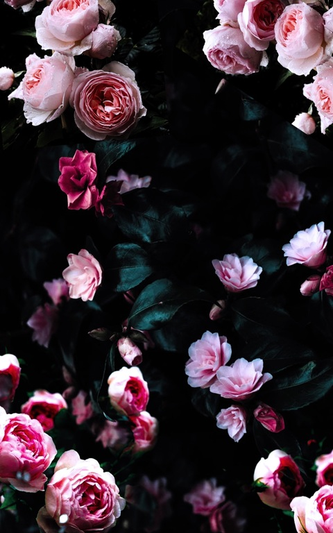 Header of lovelygabs