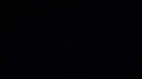 Header of lustfolife