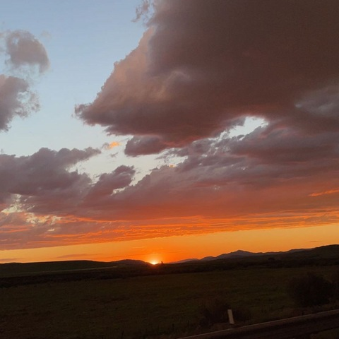 Header of macy_mann