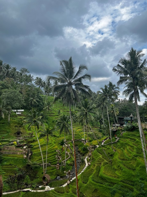Header of malouttan