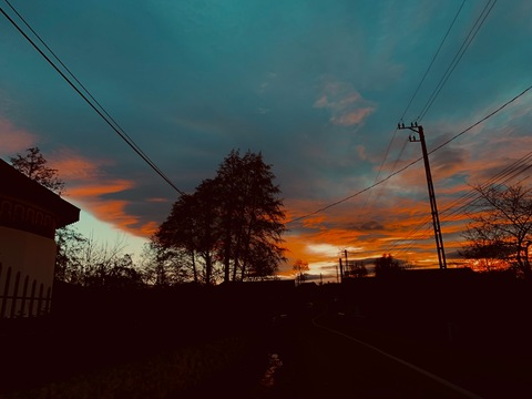 Header of maria081