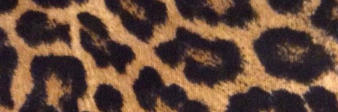 Header of melbritt1990
