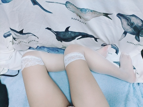 Header of meowmeow5433