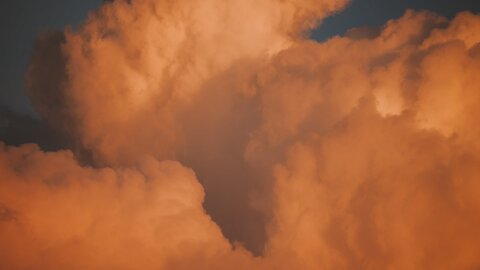 Header of mercuryhoney