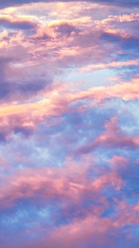 Header of michellekayy