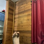 Chandler Carter @minir Leaked OnlyFans 

 profile picture