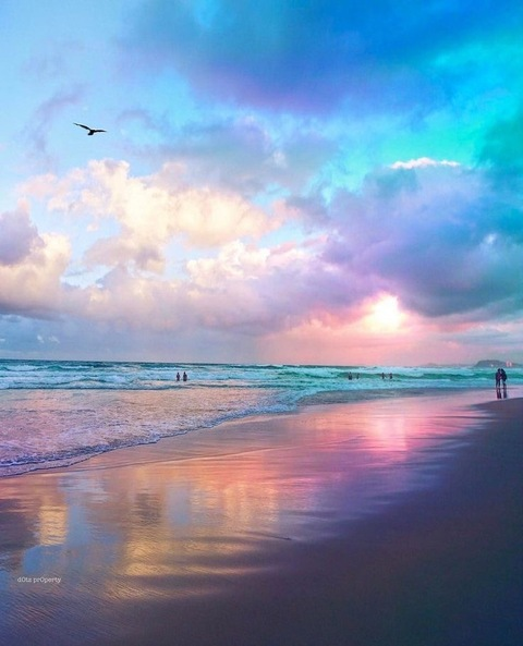 Header of missmandys